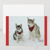Cute Huskies sending Christmas cheer Feestdagenkaart (Voorkant / Achterkant)