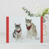 Cute Huskies sending Christmas cheer Feestdagenkaart (Staand voorkant)