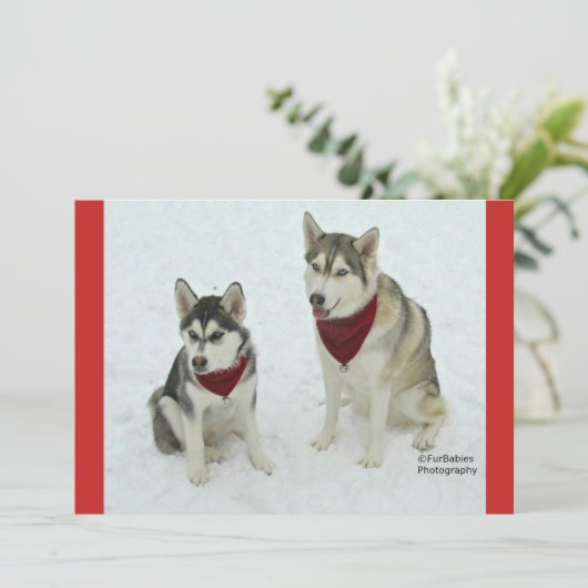 Cute Huskies sending Christmas cheer Feestdagenkaart (Staand voorkant)