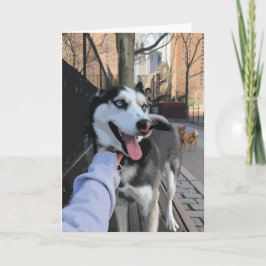 Cute Husky in een hondenpark met Tongue uit New Yo Kaart