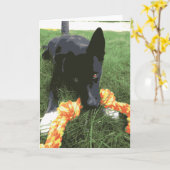 Cute Husky Lab Dog With Rope Toy Black Kaart (Gele Bloem)