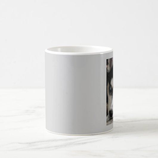 Cute husky mok (Center)