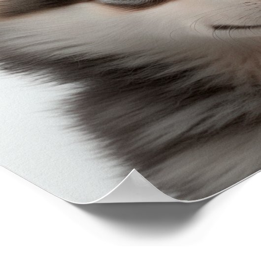 Cute Husky Pup Portrait (Hond) |  Vierkant 1:1 Poster (Hoek)