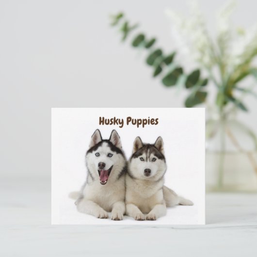 Cute Husky Puppies Briefkaart (Staand voorkant)