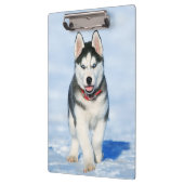 Cute Husky Puppy Dog in de sneeuw Klembord (Links)