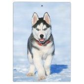 Cute Husky Puppy Dog in de sneeuw Klembord (Achterkant)