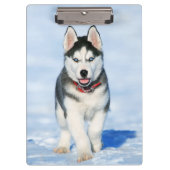 Cute Husky Puppy Dog in de sneeuw Klembord (Voorkant)
