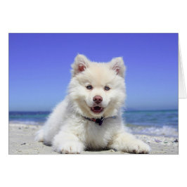 Cute Husky Puppy op Beach Blank Card