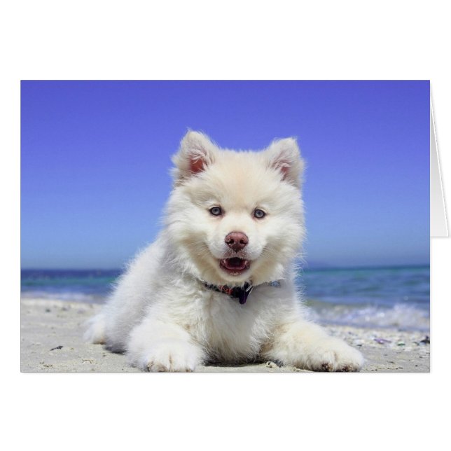 Cute Husky Puppy op Beach Blank Card (Voorkant Horizontaal)