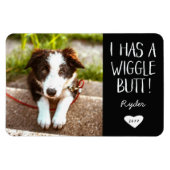 Cute "I has a Wiggle Butt" Pet Photo | Zwart Magneet (Horizontaal)