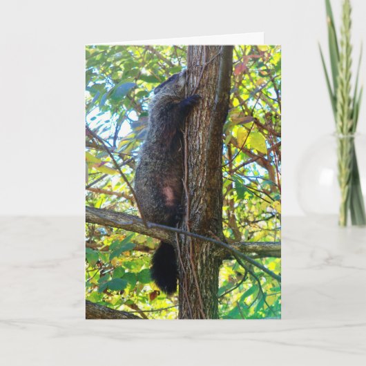 Cute I Miss You Wenskaart Kaart (Voorkant)