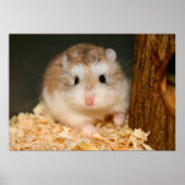 Cute Ickle Poster (Voorkant)