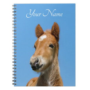 Cute IJslands Horse Foal Pony Head, voornaam - Notitieboek