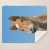 Cute IJslands paarse Pony Head Foto: ... Sherpa Deken (Voorkant (horizontaal))