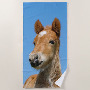 Cute IJslands paarse Pony Head Foto: ... Strandlaken