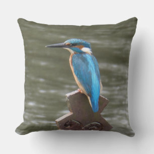 Cute IJsvogel Worpkussen Kussen