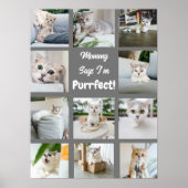 Cute I'm Purrfect Cat Photo Collage Gray Poster (Voorkant)