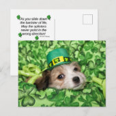 Cute Irish Puppy Background Feestdagenkaart (Voorkant / Achterkant)