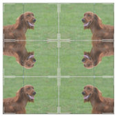 Cute Irish Setter Stof (Swatch)