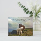 Cute Irish Sheep - Ireland Travel Briefkaart (Staand voorkant)
