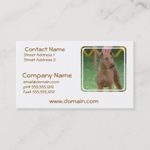 Cute Irish Terrier Visitekaartje
