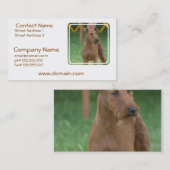 Cute Irish Terrier Visitekaartje (Voorkant / Achterkant)