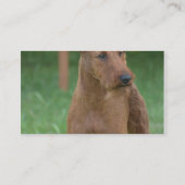 Cute Irish Terrier Visitekaartje (Achterkant)