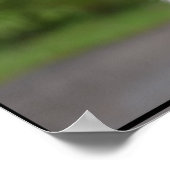 Cute Irish Wolfhound Poster (Hoek)