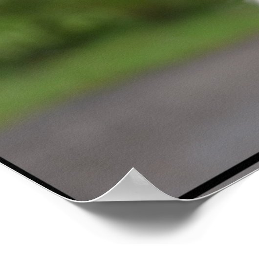 Cute Irish Wolfhound Poster (Hoek)