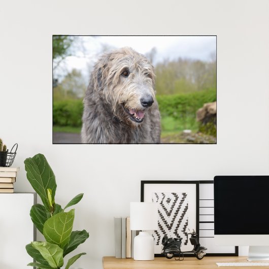 Cute Irish Wolfhound Poster (Thuiskantoor)
