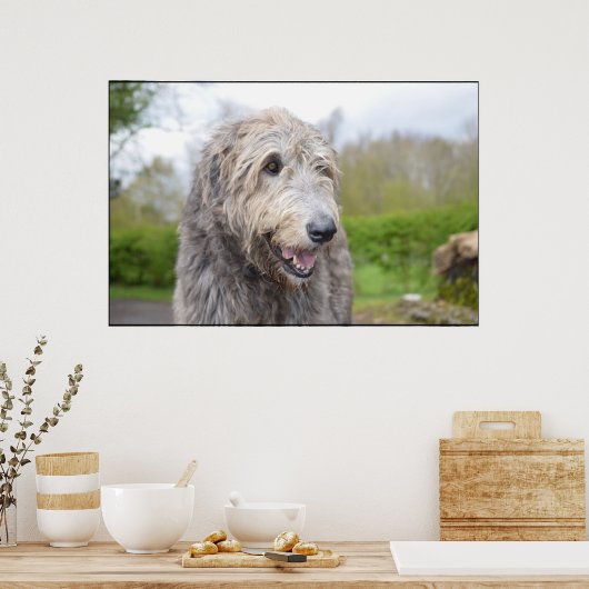 Cute Irish Wolfhound Poster (Keuken)