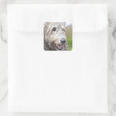 Cute Irish Wolfhound Vierkante Sticker (Tas)