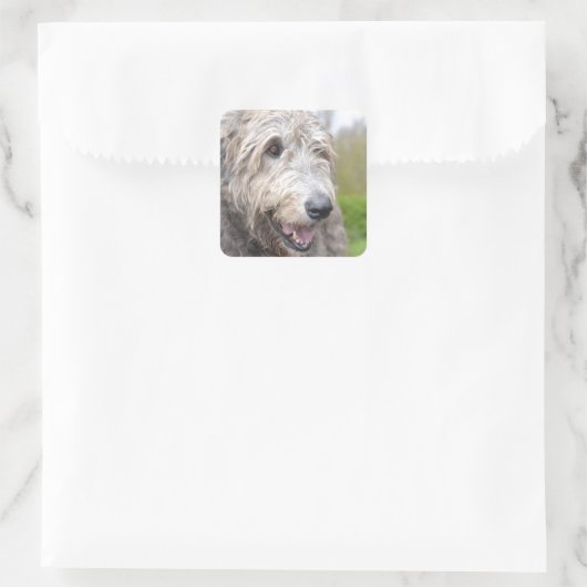 Cute Irish Wolfhound Vierkante Sticker (Tas)