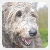 Cute Irish Wolfhound Vierkante Sticker (Voorkant)