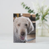Cute j briefkaart (Staand voorkant)