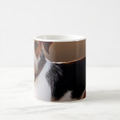 Cute Jack Russel Terrier Dog Foto Koffiemok (Center)