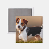Cute Jack Russel Terrier Dog Foto Magneet (Voorkant / Achterkant)