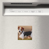 Cute Jack Russel Terrier Dog Foto Magneet (Insitu (Vaatwasser))