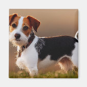 Cute Jack Russel Terrier Dog Foto Magneet (Voorkant)