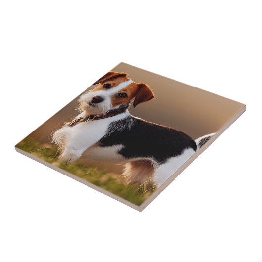 Cute Jack Russel Terrier Dog Foto Tegeltje (Zijkant)