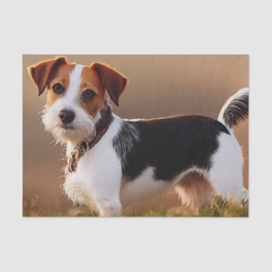 Cute Jack Russel Terrier Dog Foto Tissuepapier (Voorkant)