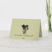 Cute Jack Russell Dog Bedankkaart (Achterkant)