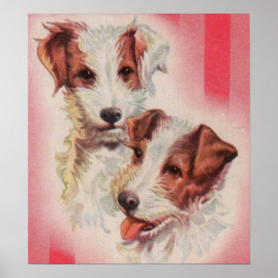 CUTE Jack Russell-doodsbange Poster
