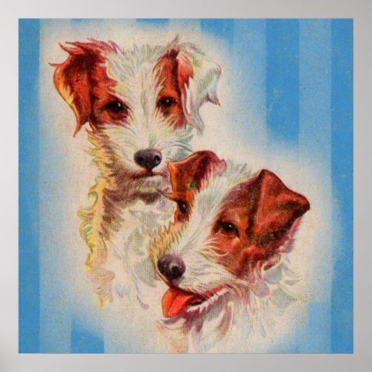 CUTE Jack Russell poster van doodsbange mensen (Voorkant)