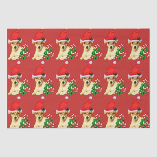 Cute Jack Russell Terrier Kerstmis Tissuepapier (Voorkant)