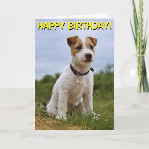 Cute Jack Russell-verjaardagskaart Kaart