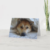 Cute japanese akita dog under bed dekens kaart (Voorkant)