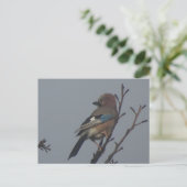Cute Jay in Tree DIY Briefkaart (Staand voorkant)