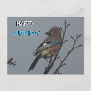Cute Jay in Tree Happy Birthday Briefkaart