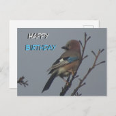 Cute Jay in Tree Happy Birthday Briefkaart (Voorkant / Achterkant)